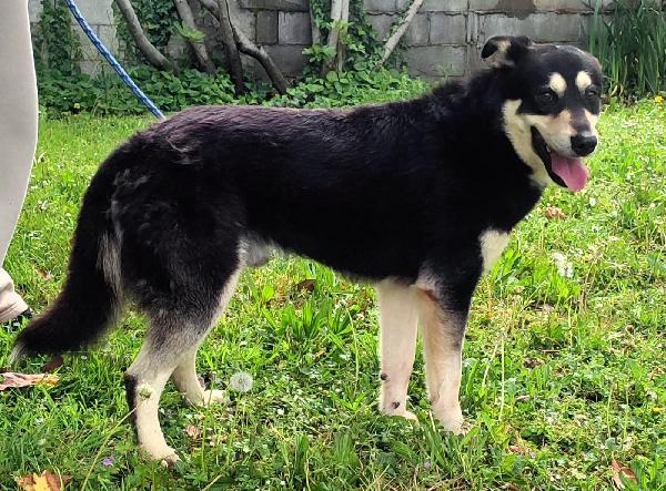 FULVIO CERCA CASA Foto 5